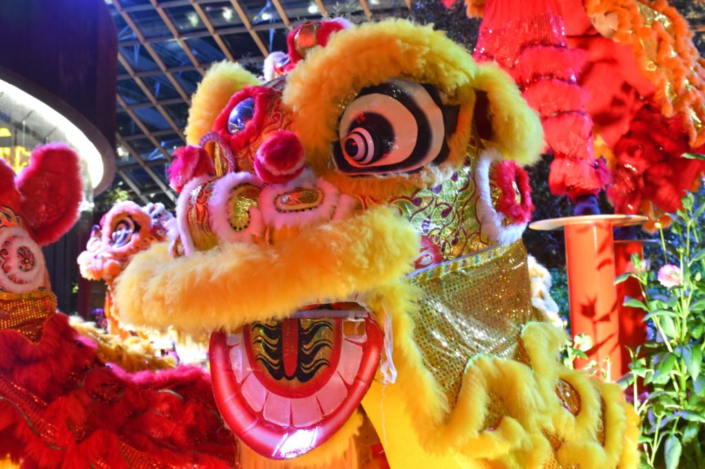 CHINESE NEW YEAR CELEBRATIONS