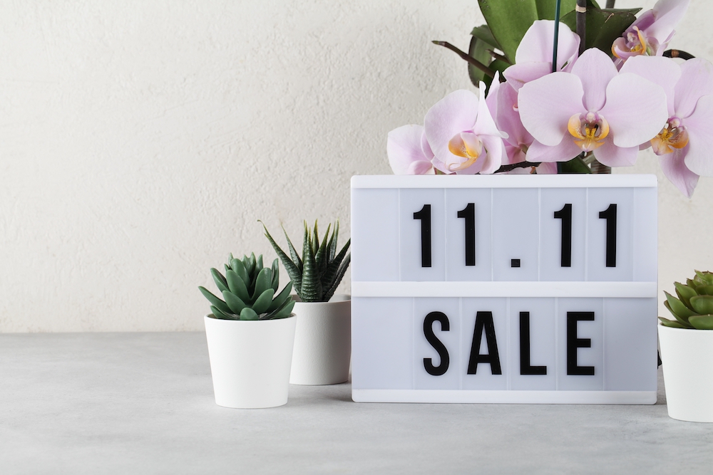 singles day 11.11 sale ecommerce