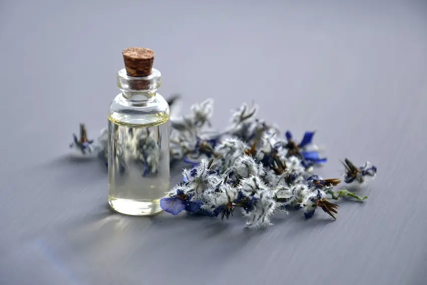 fragrance business financing